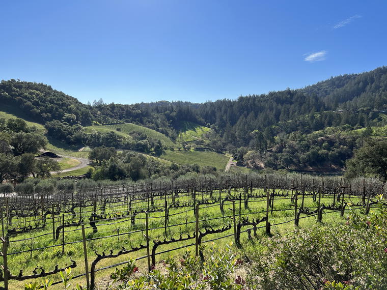 Harlan Estate, Napa, United States