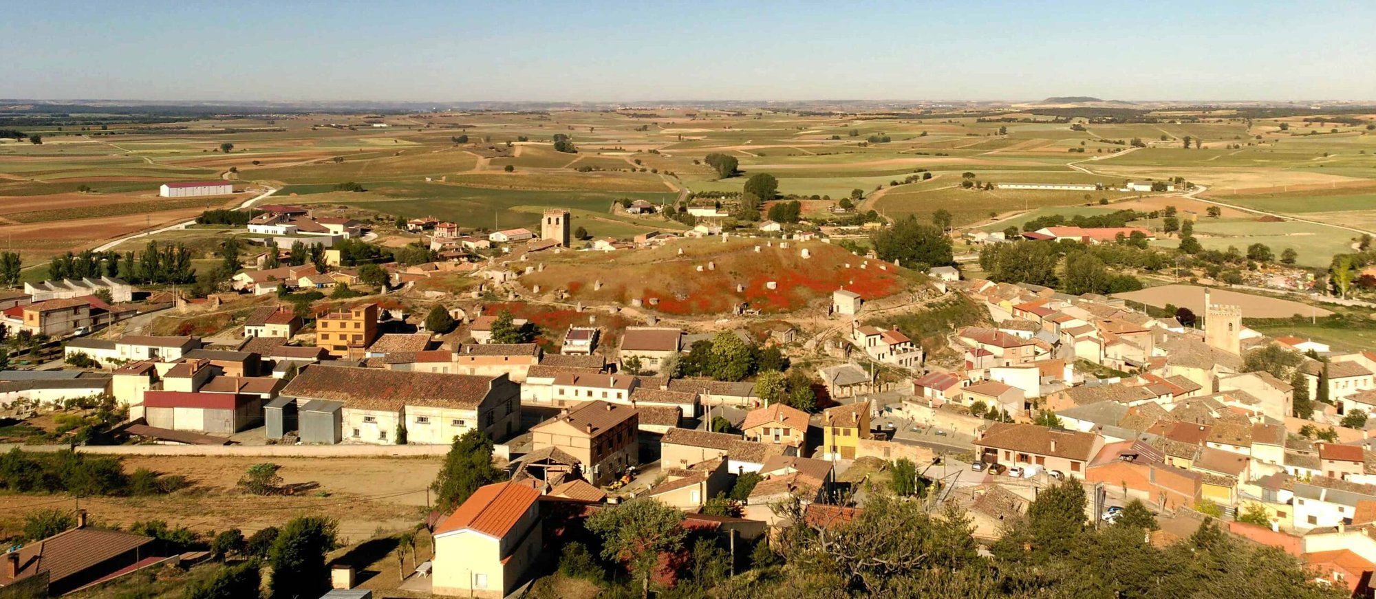 Bodegas Arrocal, Winery in Gumiel De Mercado
