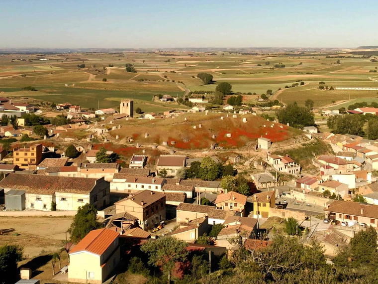 Bodegas Arrocal, Gumiel De Mercado, Spain