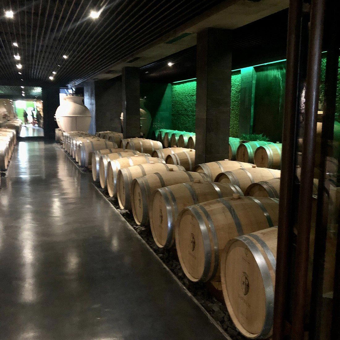Bartali winery in Siena, Italy