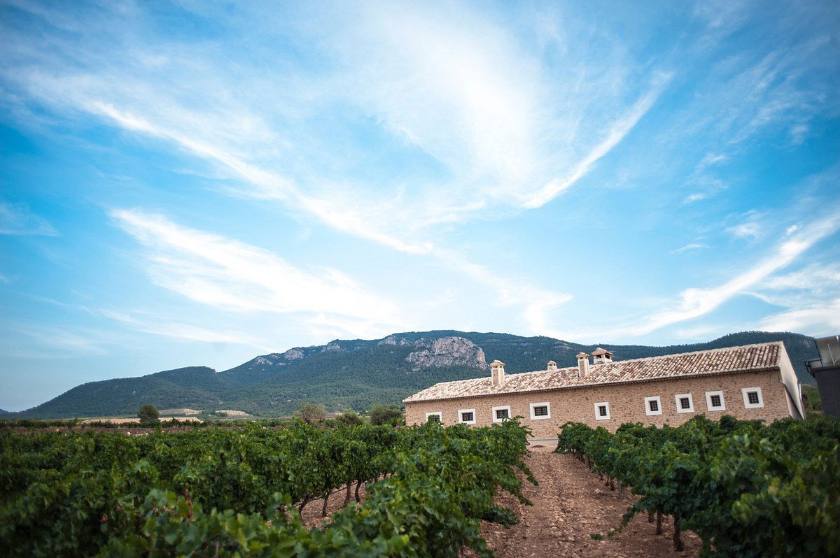Bodegas Carchelo, Winery in Jumilla