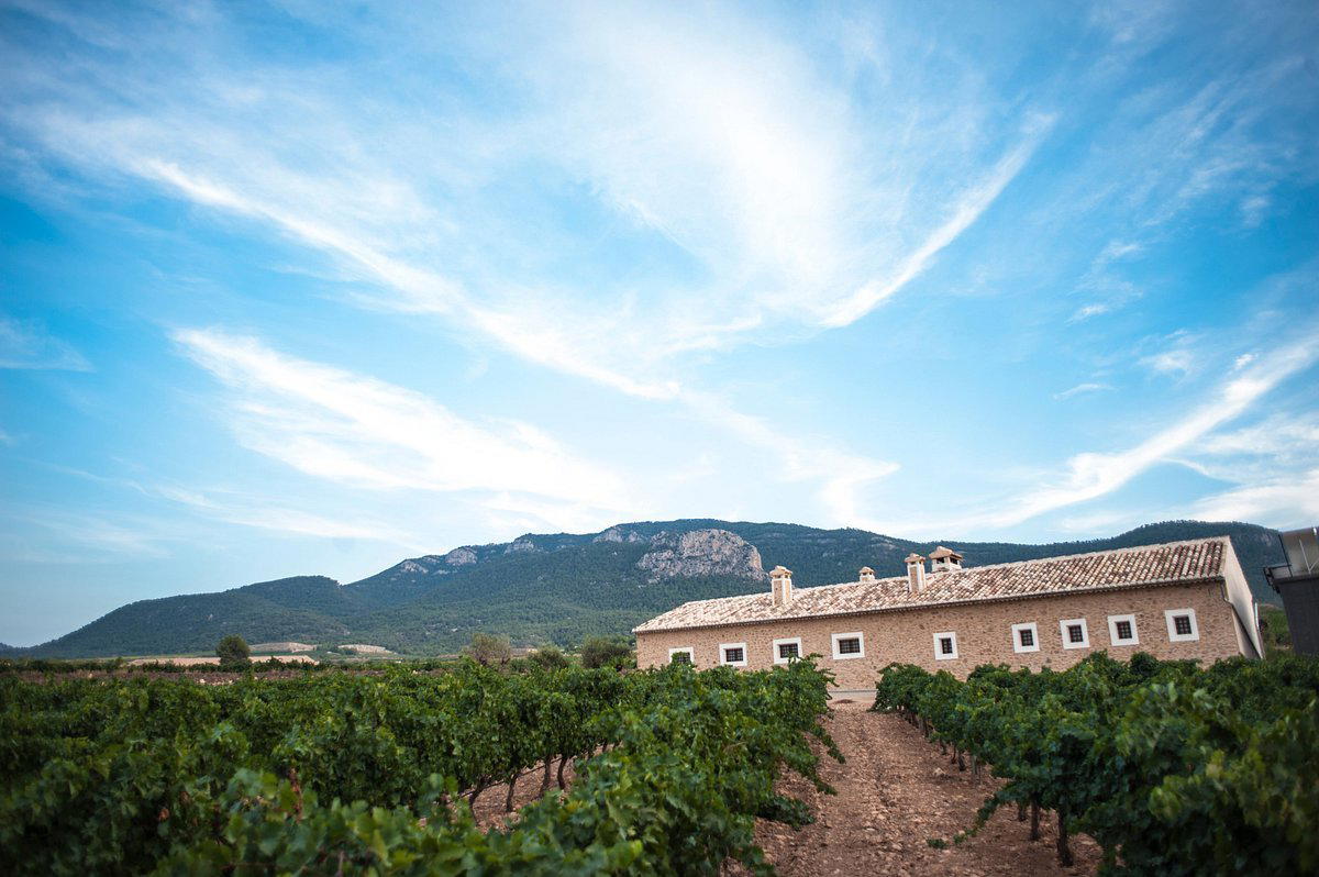 Bodegas Carchelo winery in Jumilla