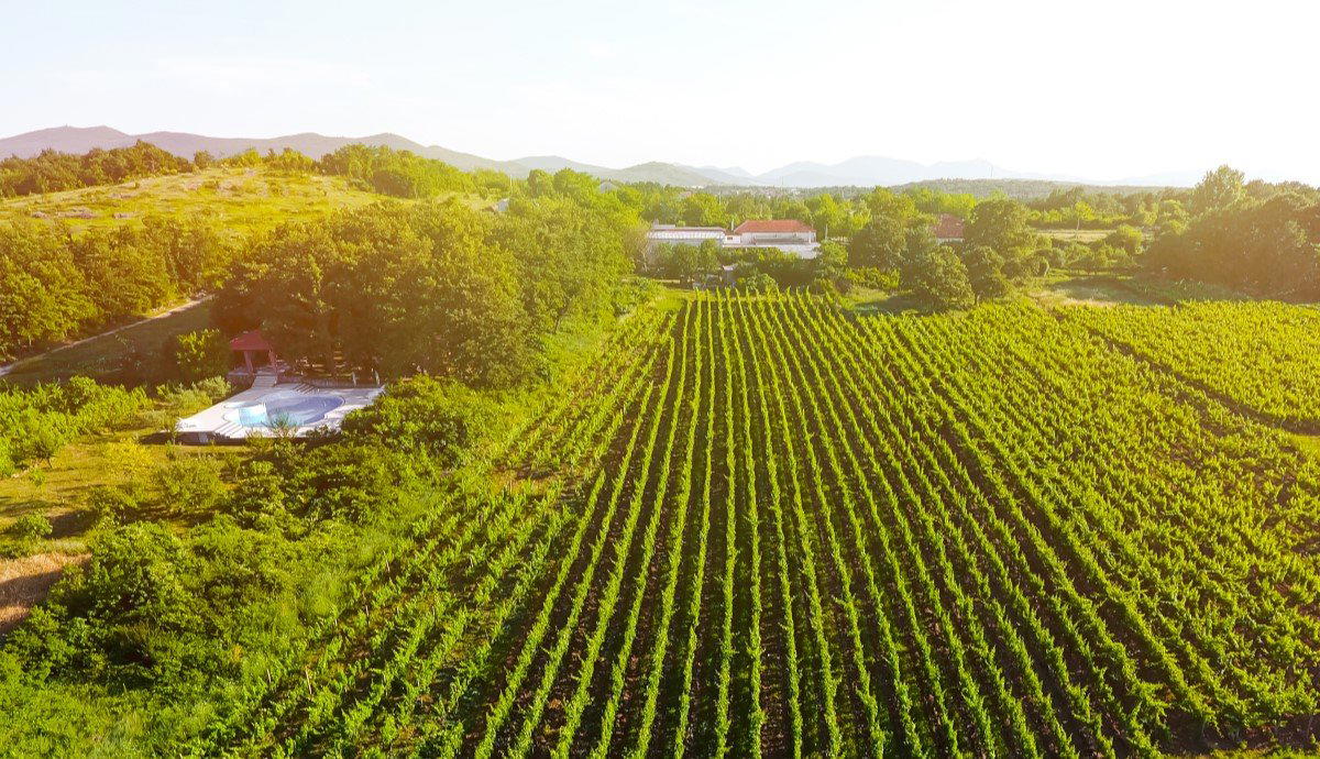 Podrum Ostojic winery in Citluk, Bosnia and Herzegovina