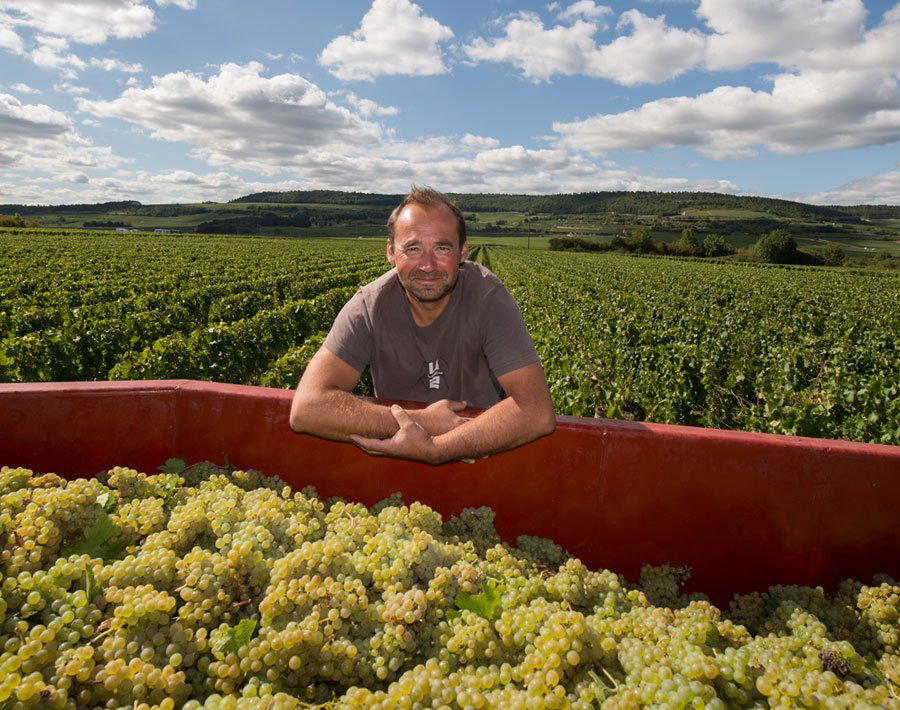 Domaine Michel Bouzereau et Fils, Meursault, France
