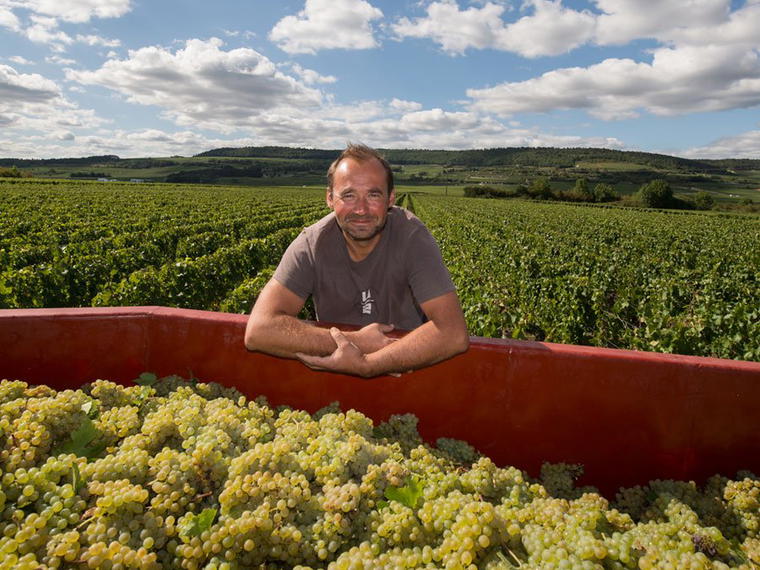 Domaine Michel Bouzereau et Fils, Meursault, France