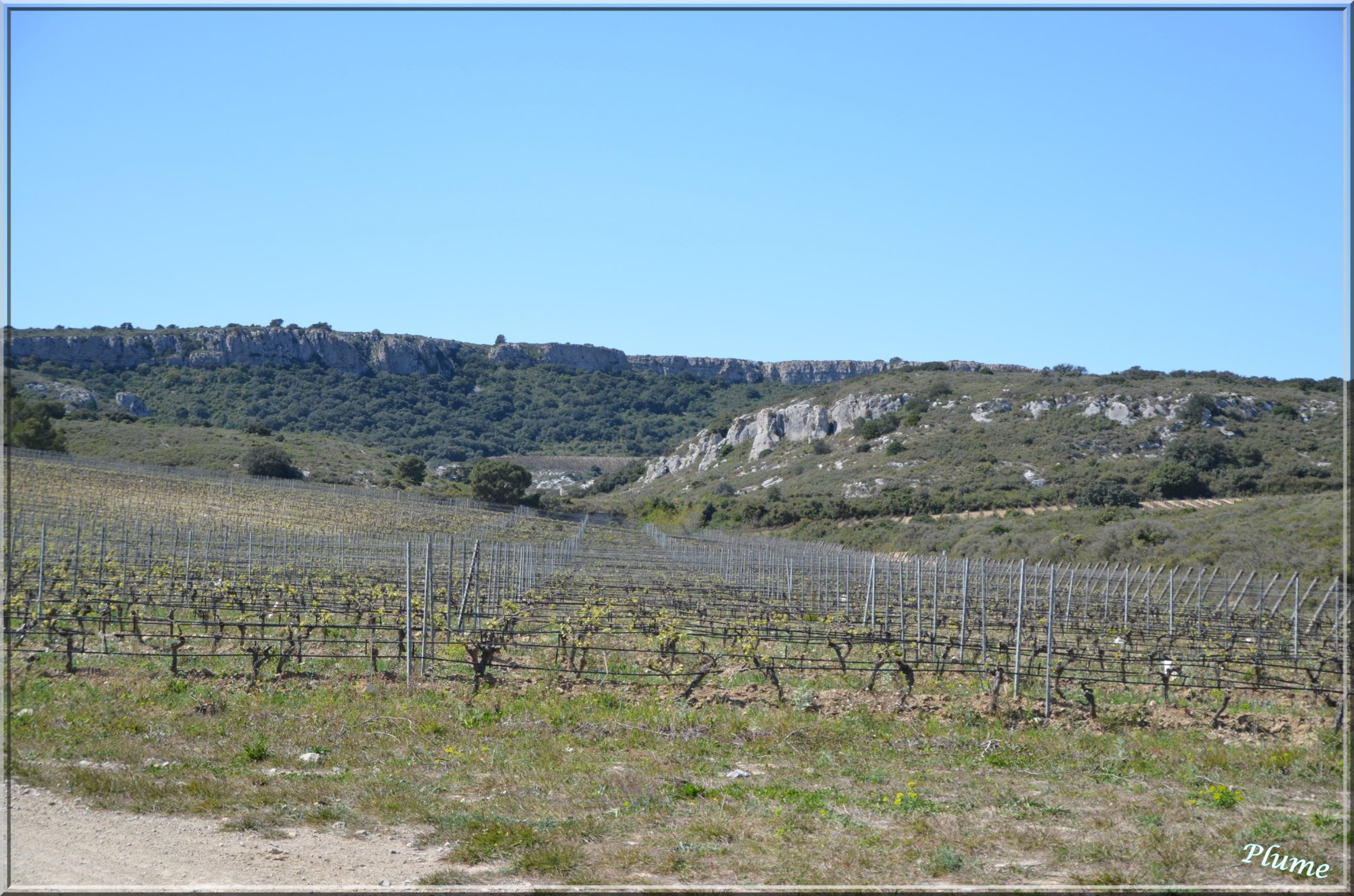 Château des Karantes, Narbonne Plage, France