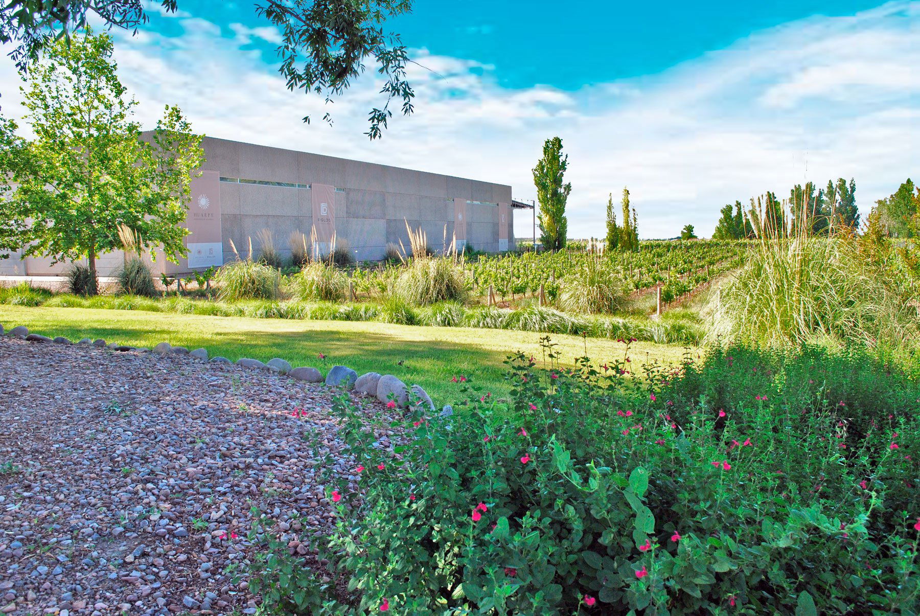 Huarpe Wines, Winery in Agrelo