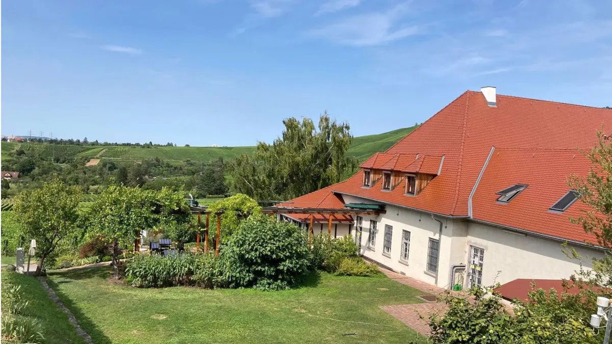 Collegium Wirtemberg, Winery in Stuttgart