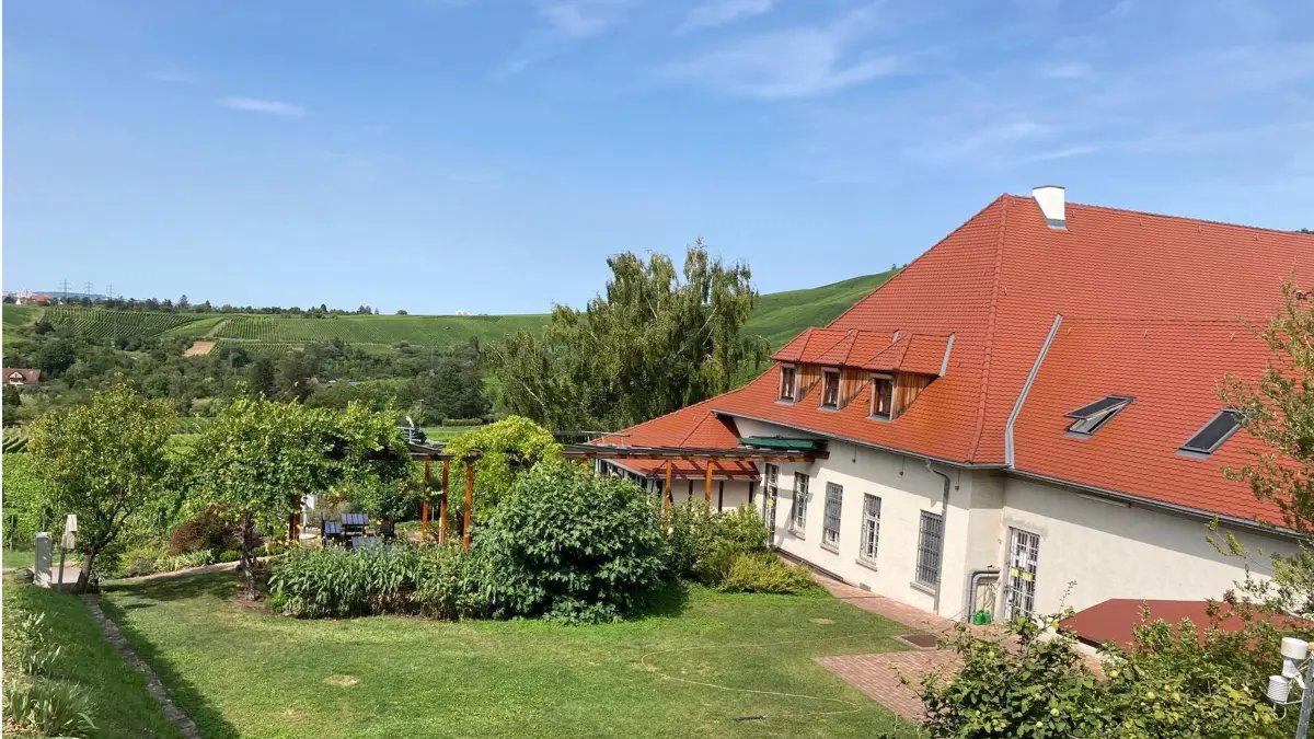 Collegium Wirtemberg winery in Stuttgart