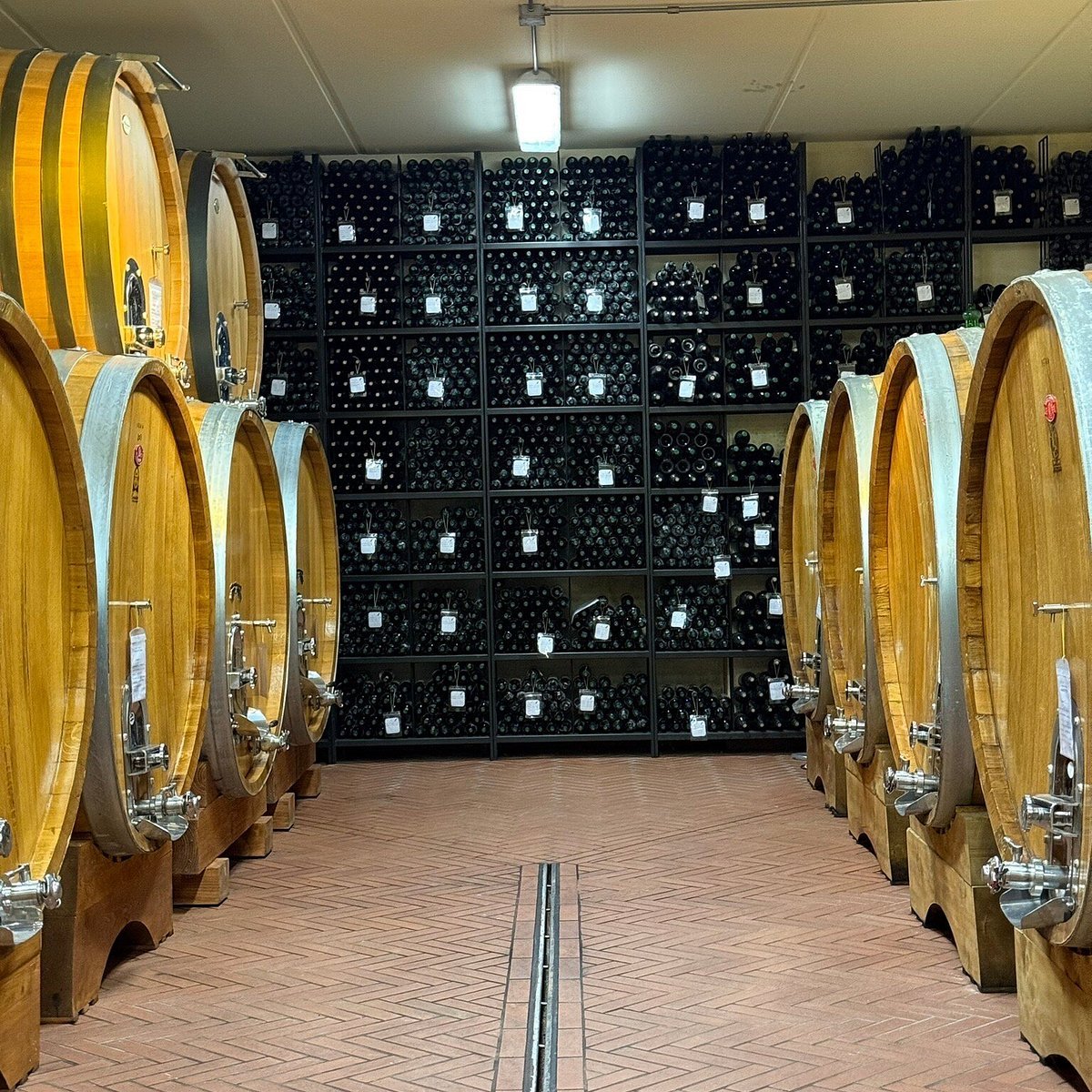 Azienda Agricola Josetta Saffirio, Monforte d'Alba, Italy