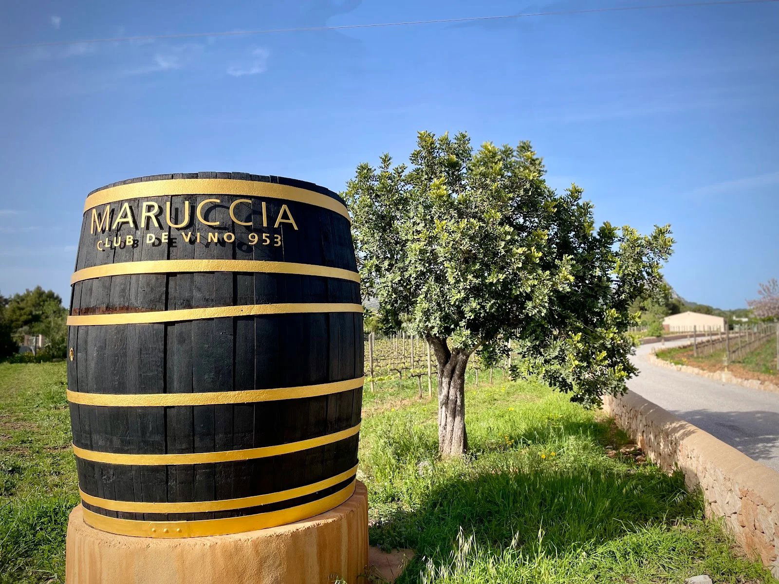 Bodega Maruccia - Club de Vino 953, Winery in Llucmajor