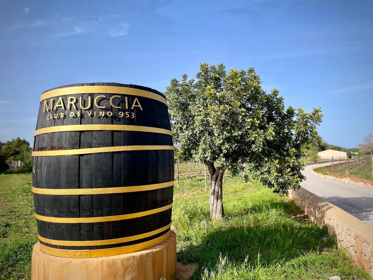 Bodega Maruccia - Club de Vino 953, Llucmajor, Spain