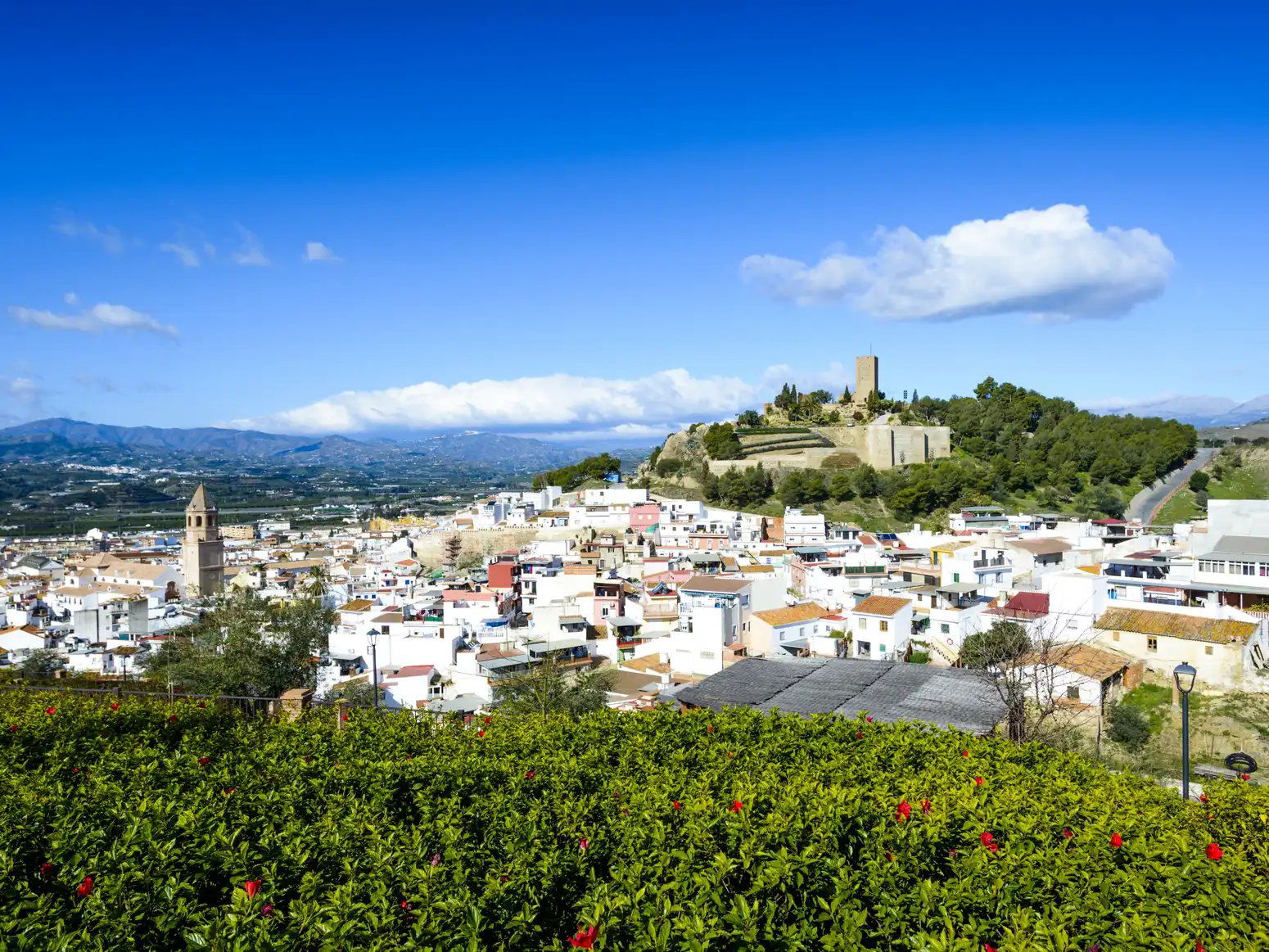 Bodegas Jorge Ordóñez & Co., Winery in Vélez-Málaga