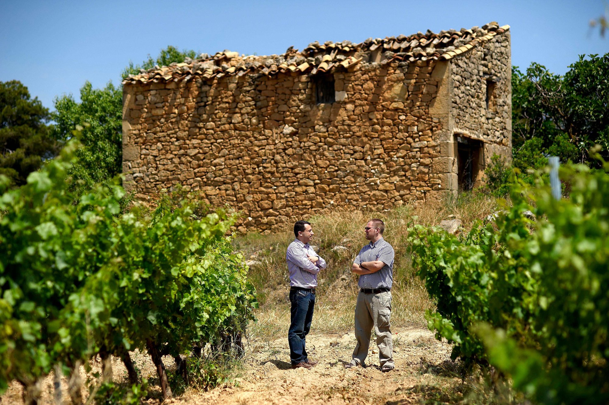 Celler Piñol, Batea Tarragona, Spain