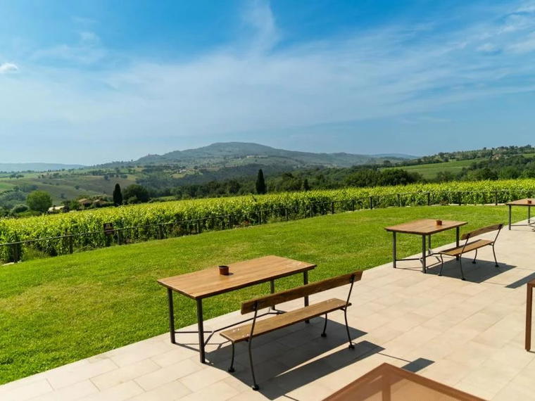 Cantine Briziarelli, Bevagna, Italy