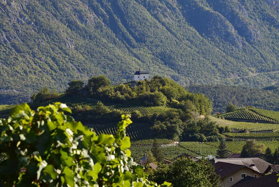 Cave de Canali