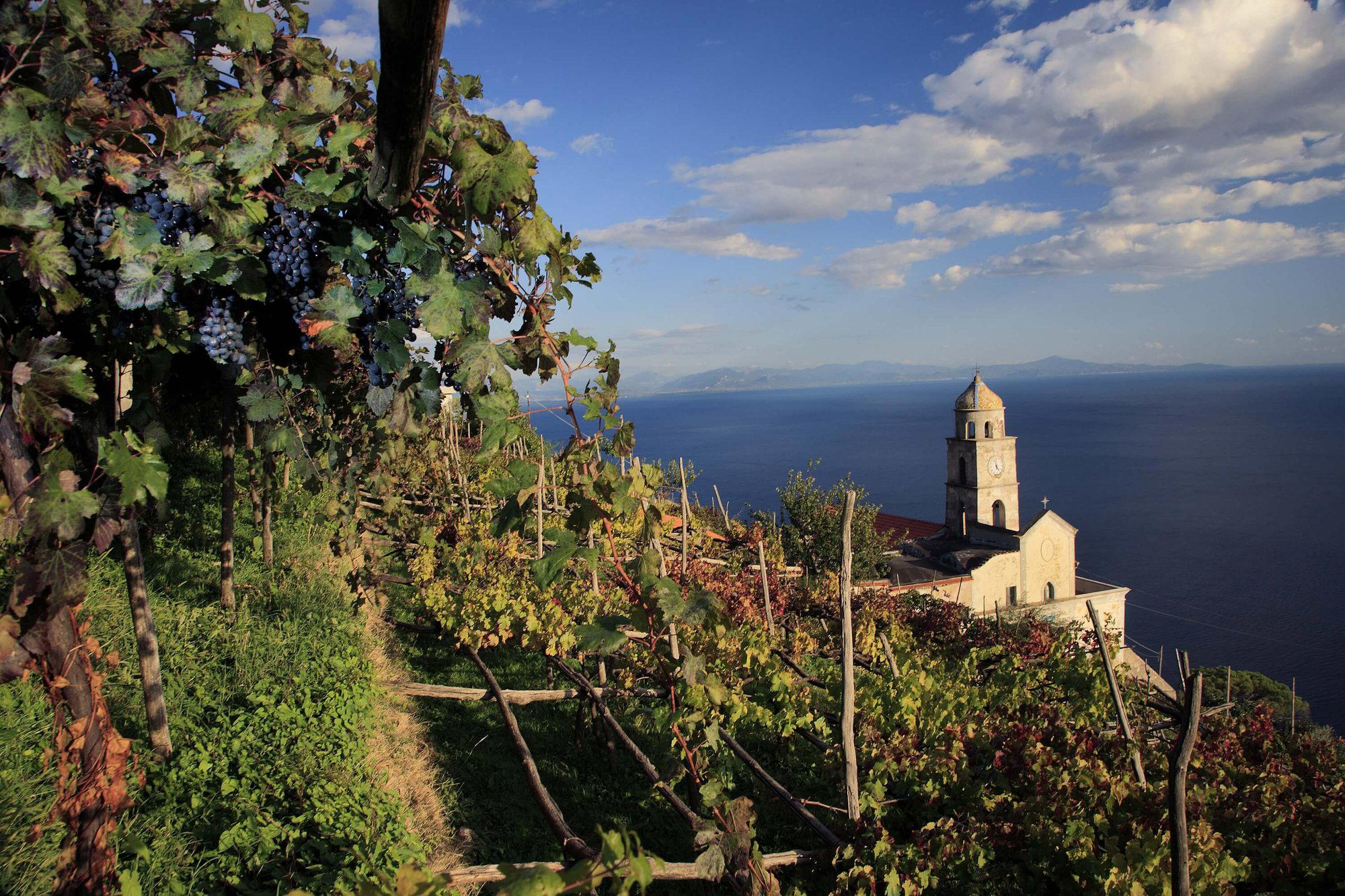 Marisa Cuomo winery in Furore