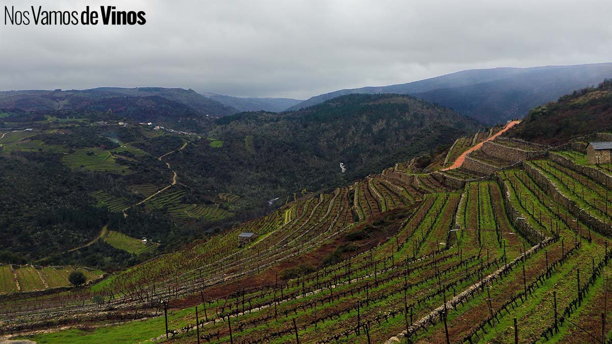 Bodegas Pedro Escudero