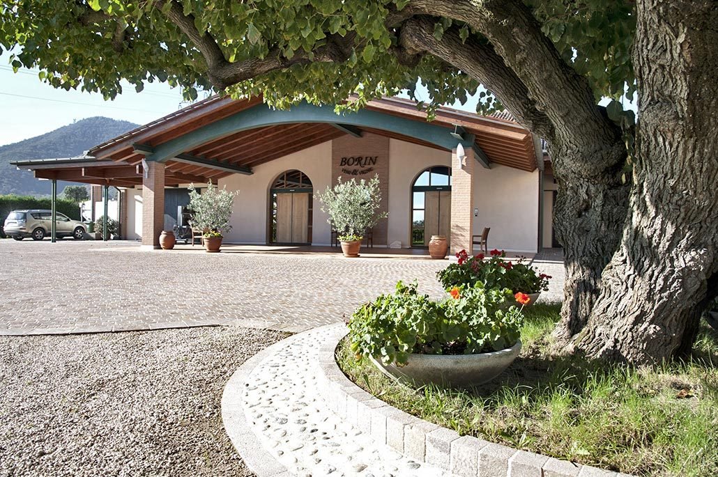 Borin Vini e Vigne, Monselice, Italy