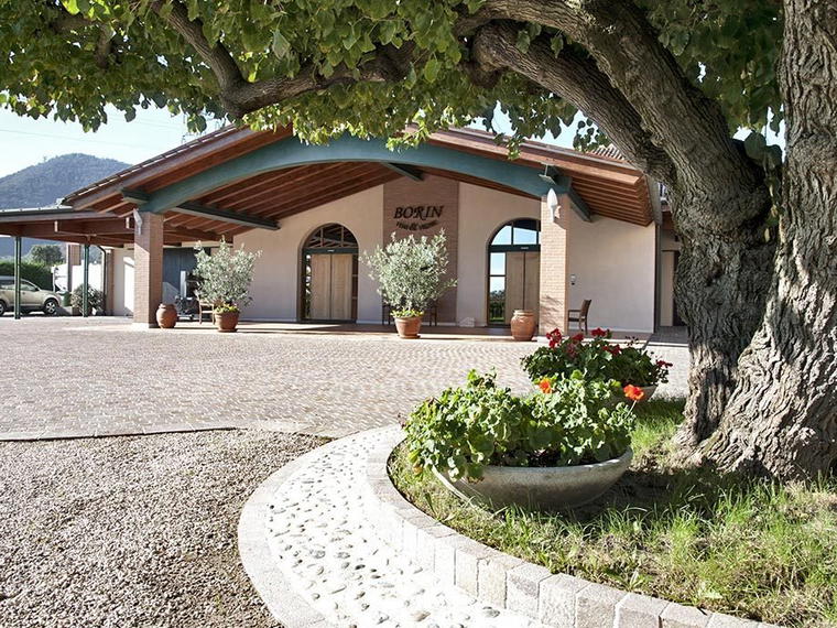 Borin Vini e Vigne, Monselice, Italy