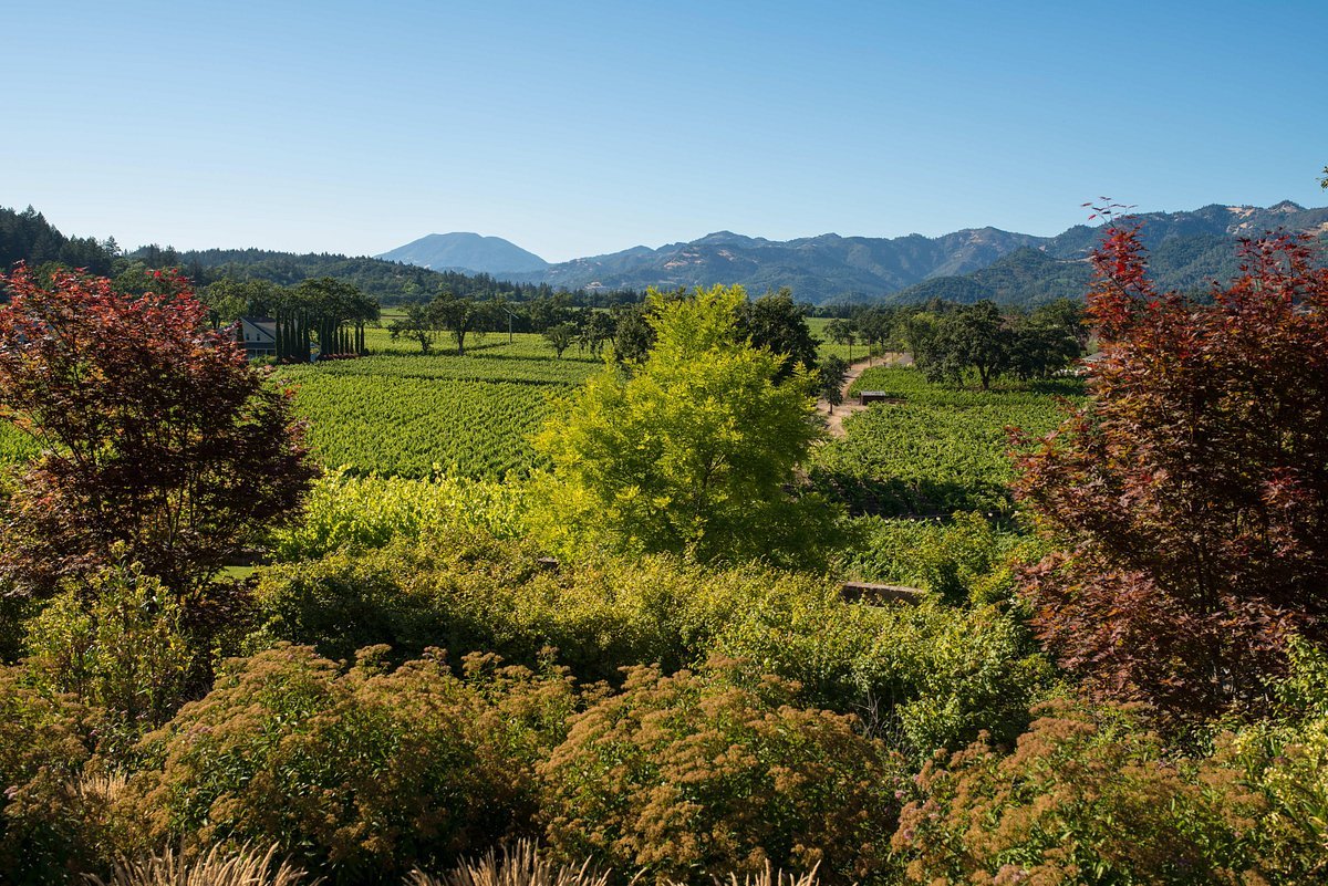 Taplin Cellars winery in St. Helena, United States