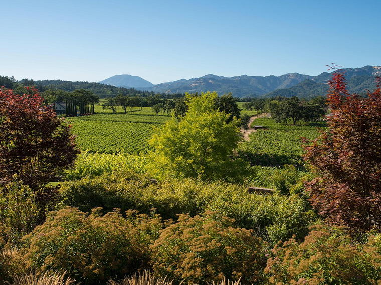 Taplin Cellars, St. Helena, United States