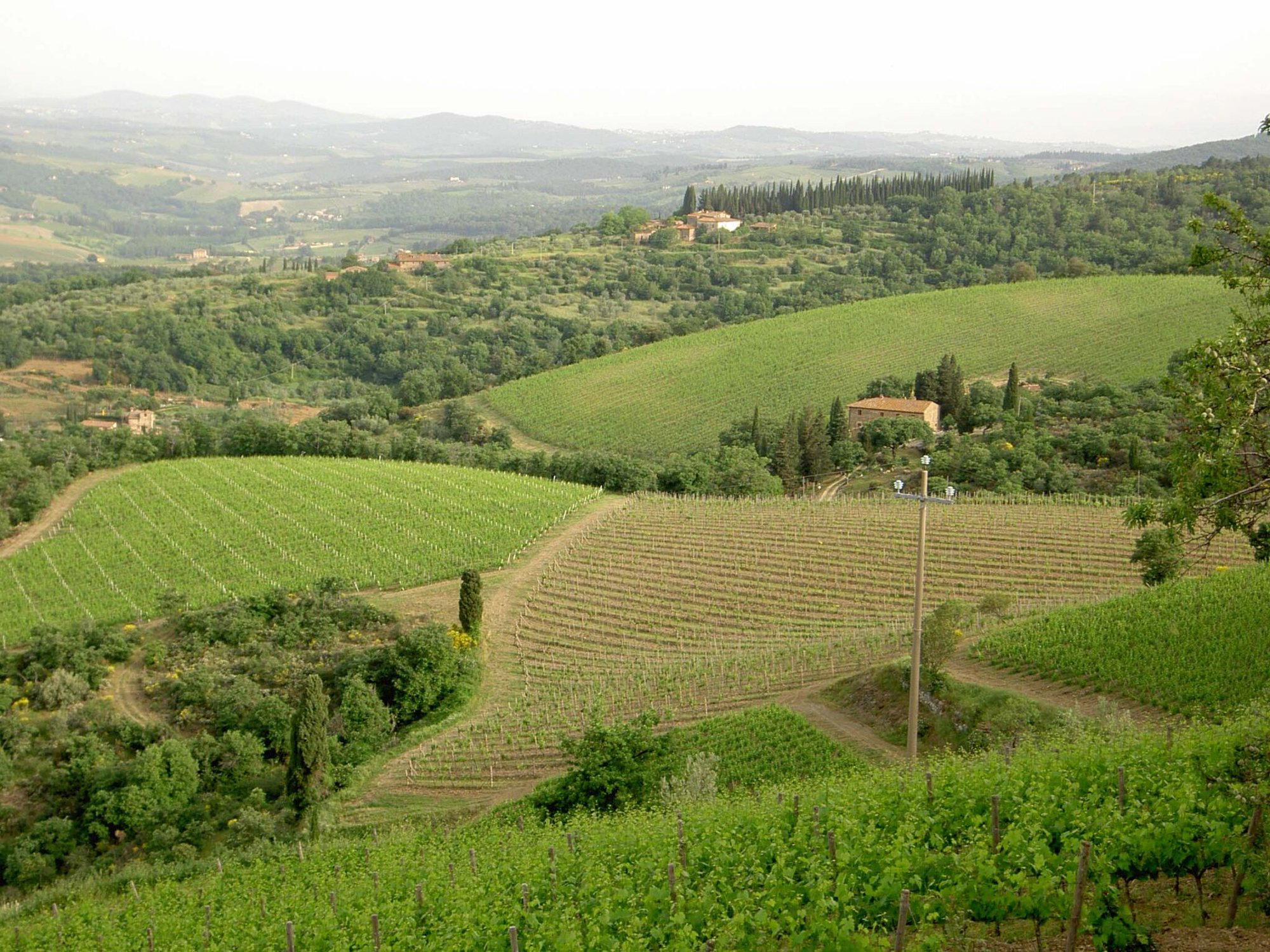 Podere Poggio Scalette winery in Greve in Chianti, Italy