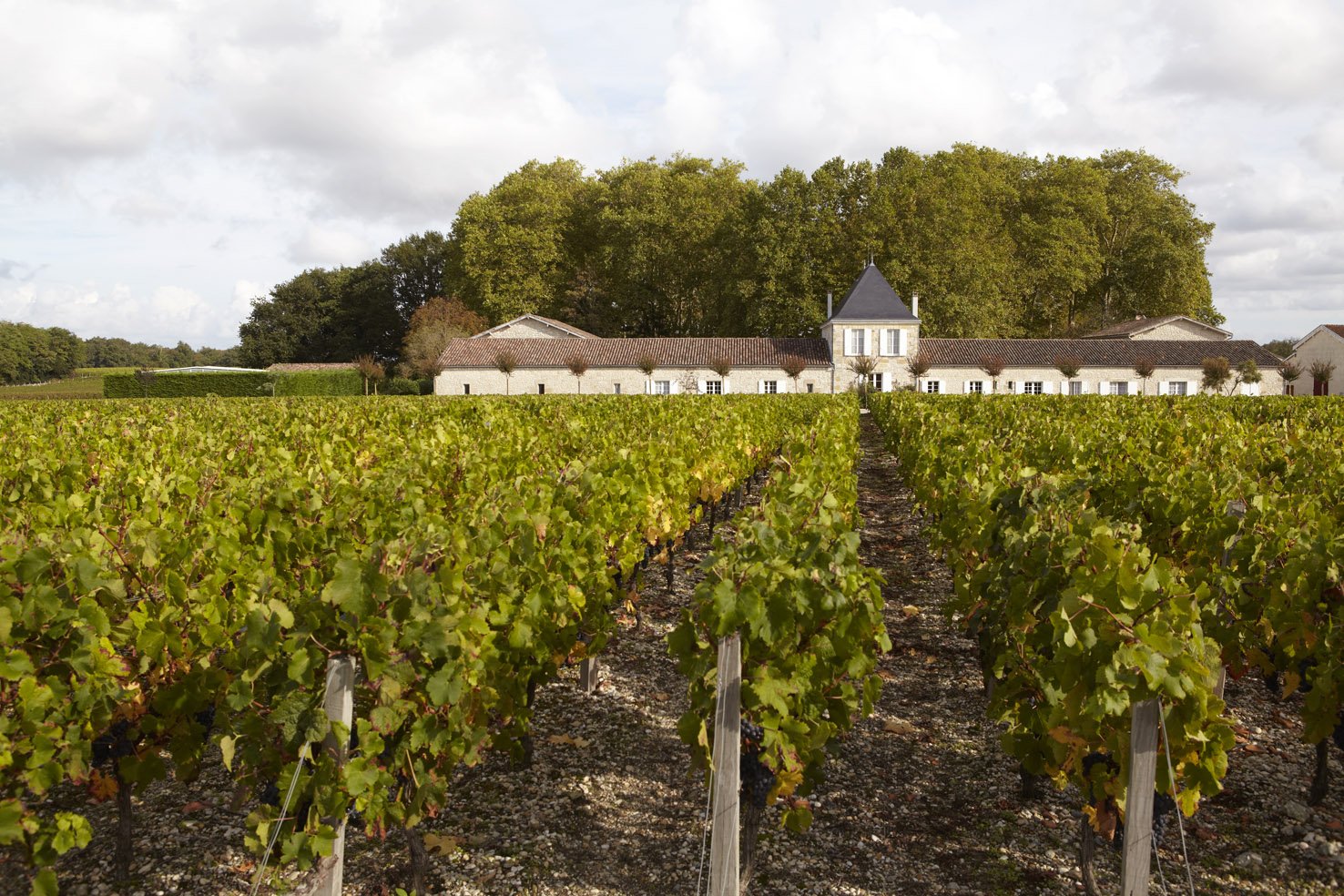 Château de Panigon, Civrac En Medoc, France