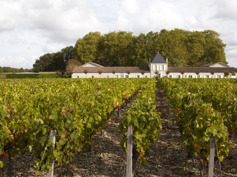 Château de Panigon, Civrac En Medoc, France