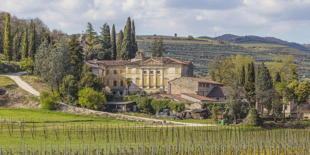 Benini winery in Lavagno, Italy