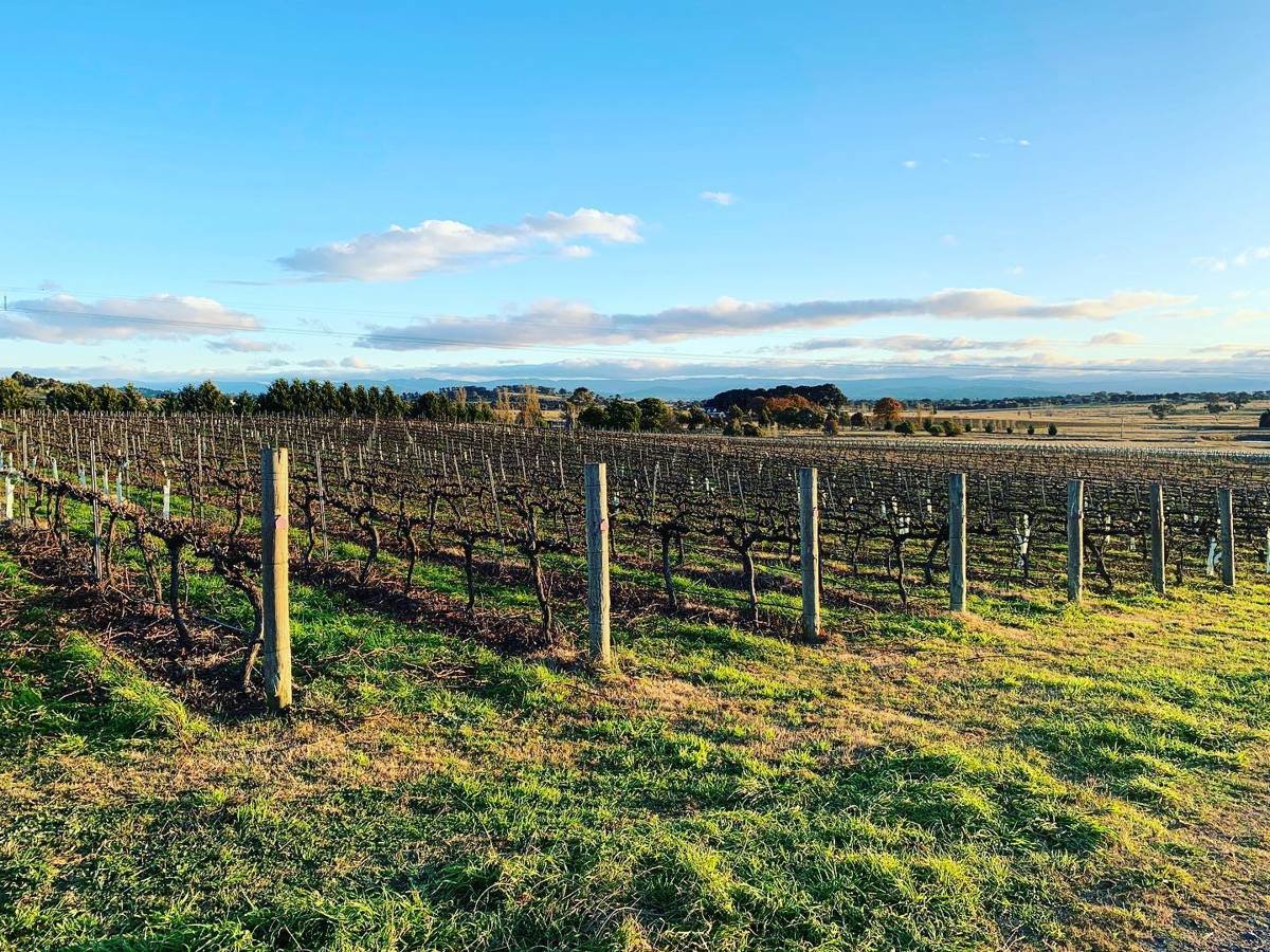 Lark Hill Winery, Bungendore, Australia