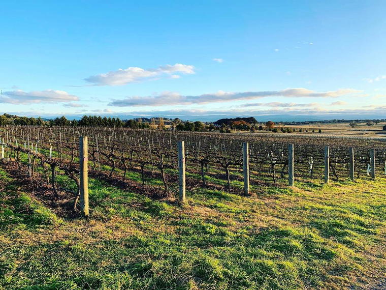 Lark Hill Winery, Bungendore, Australia