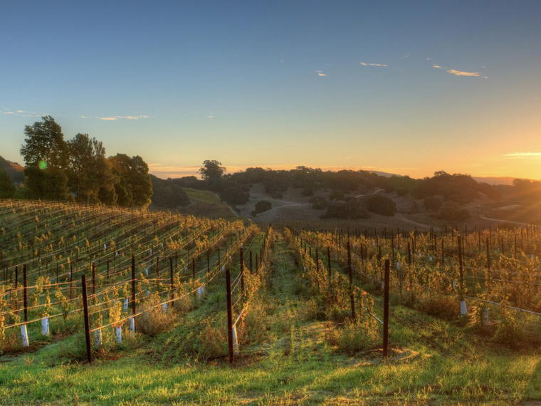 John Anthony Vineyards, Napa, United States