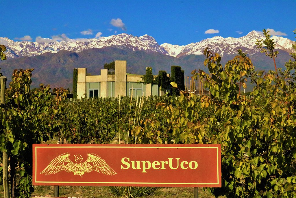 SuperUco, Winery in Mendoza