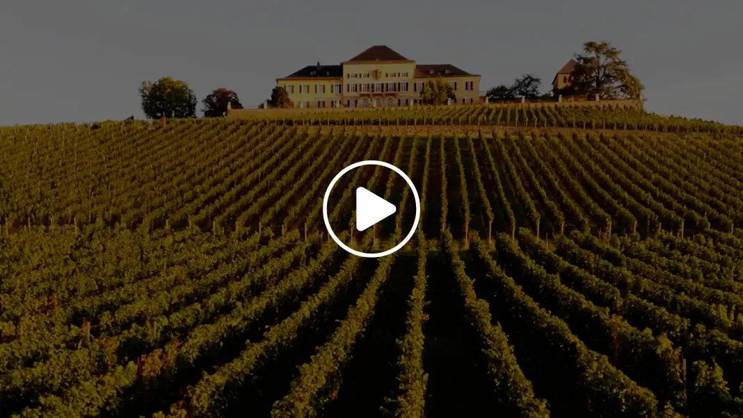 Fürst von Metternich-Winneburg’sche Domäne Schloss Johannisberg, Winery in Rheingau