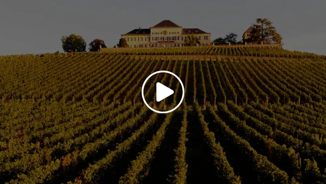 Fürst von Metternich-Winneburg’sche Domäne Schloss Johannisberg winery in Rheingau, Germany