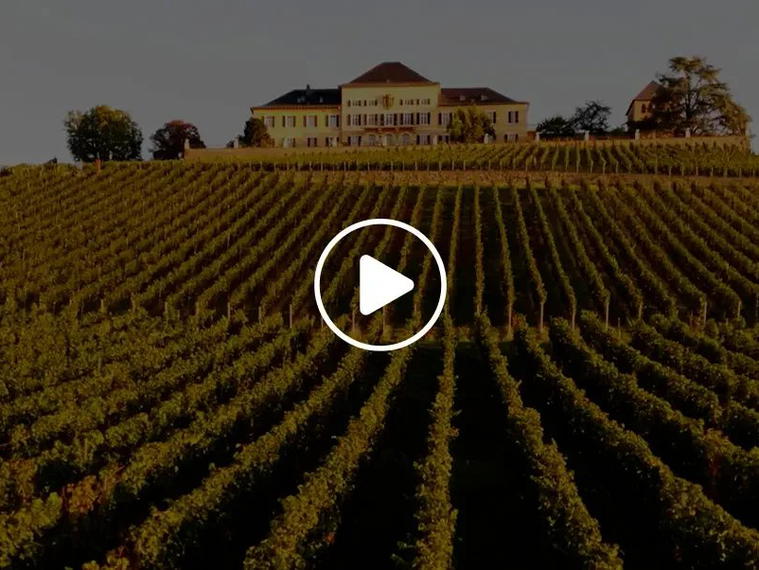 Fürst von Metternich-Winneburg’sche Domäne Schloss Johannisberg, Rheingau, Germany