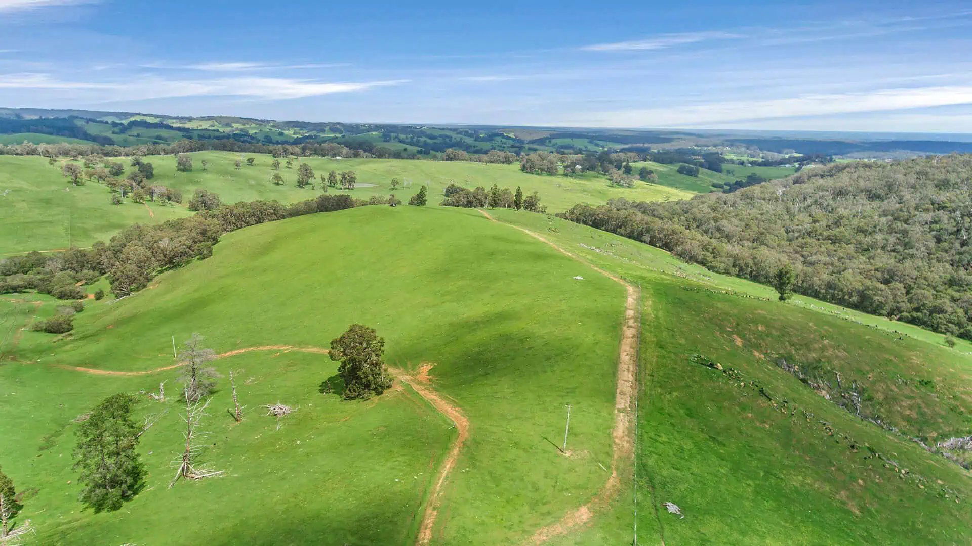 Bakkheia Wines, Winery in Wa Lowden