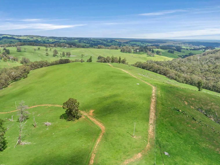 Bakkheia Wines, Wa Lowden, Australia
