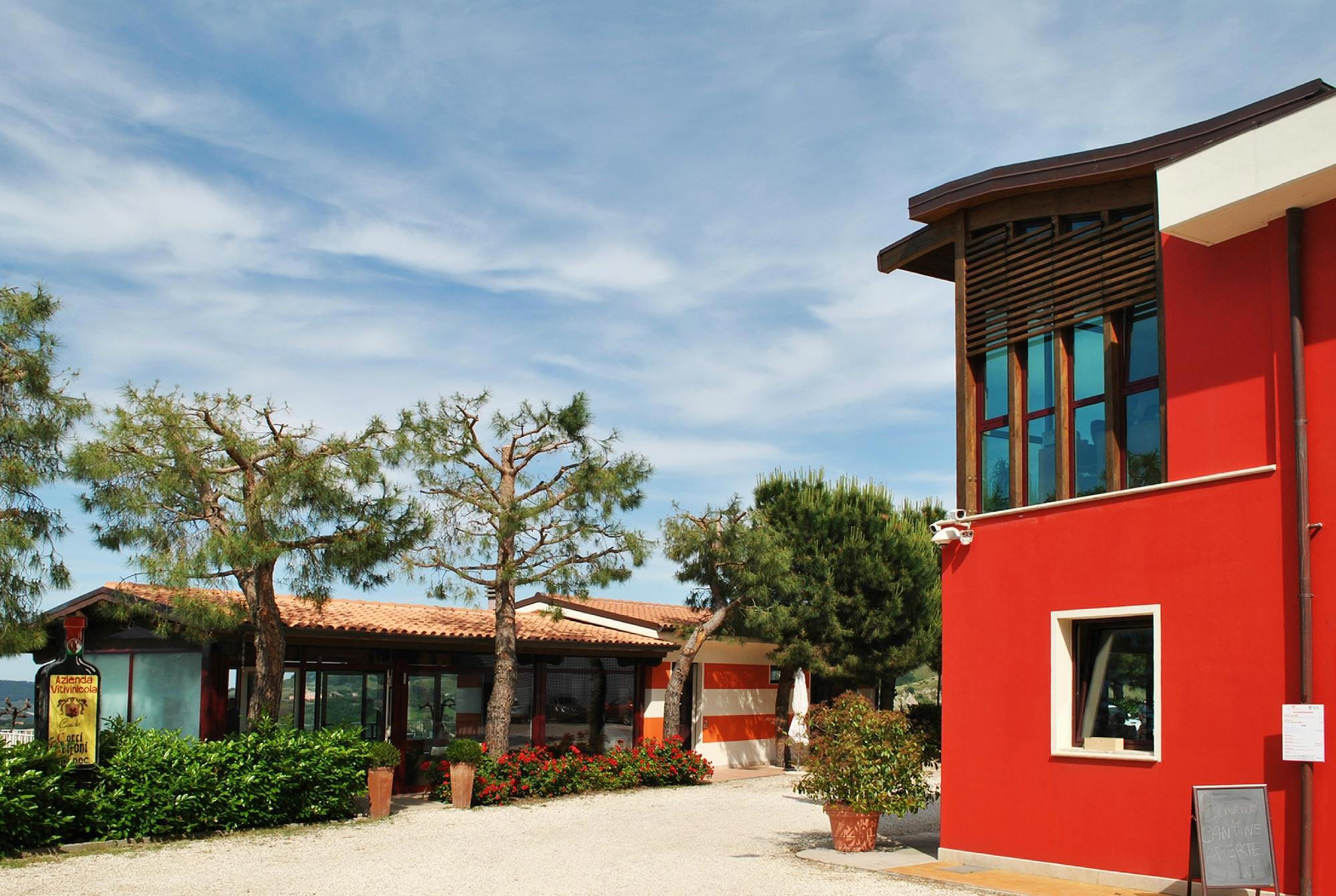 Tenuta Cocci Grifoni winery in San Savino Di Ripatransone