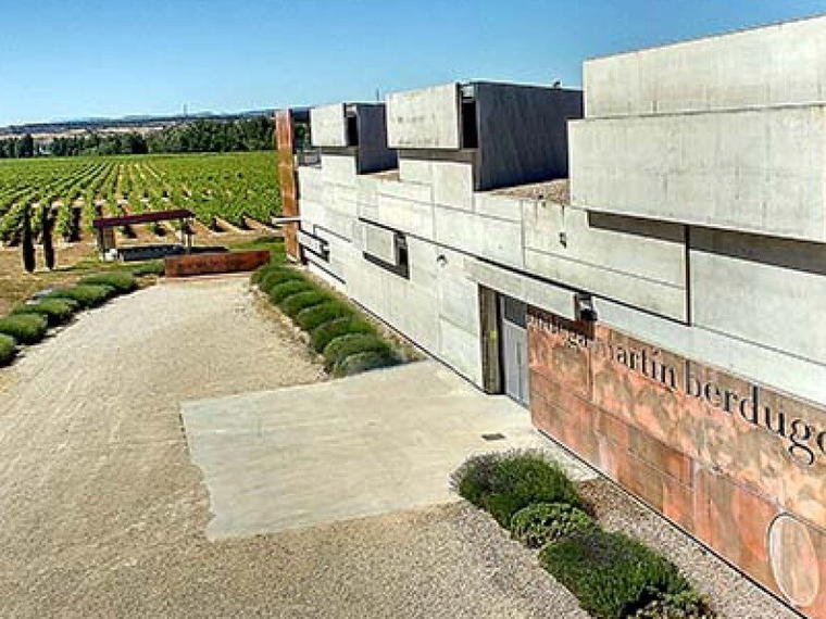 Bodega y Viñedos Martín Berdugo, Aranda de Duero, Spain