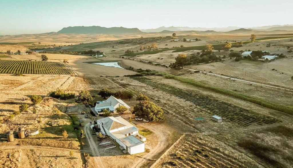 Intellego Wines, Swartland, South Africa