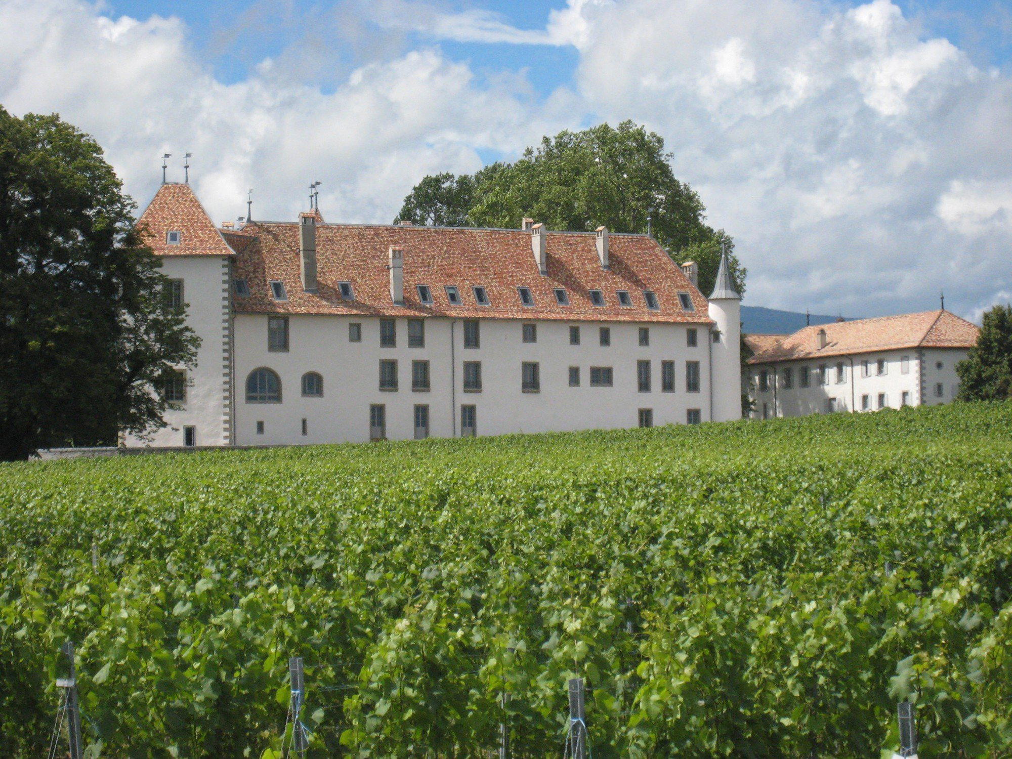 Château d'Allaman winery in Allaman