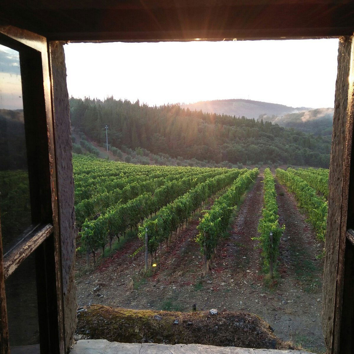 Castello della Paneretta, Winery in Barberino Tavarnelle