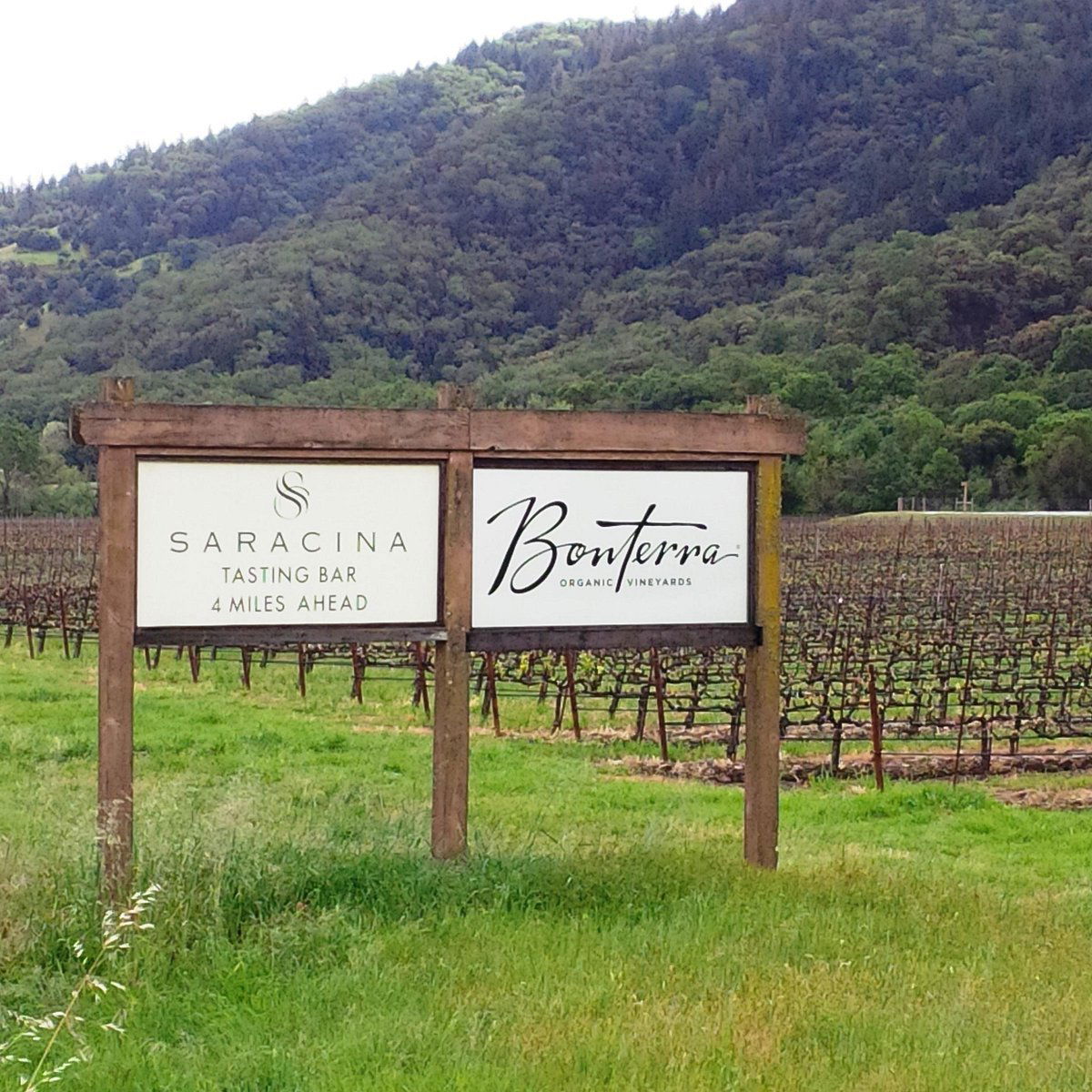 Bonterra Organic Vineyards, Winery in Ukiah