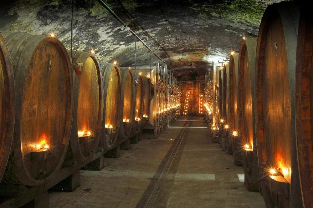 Weingut Alte Grafschaft winery in Kreuzwertheim