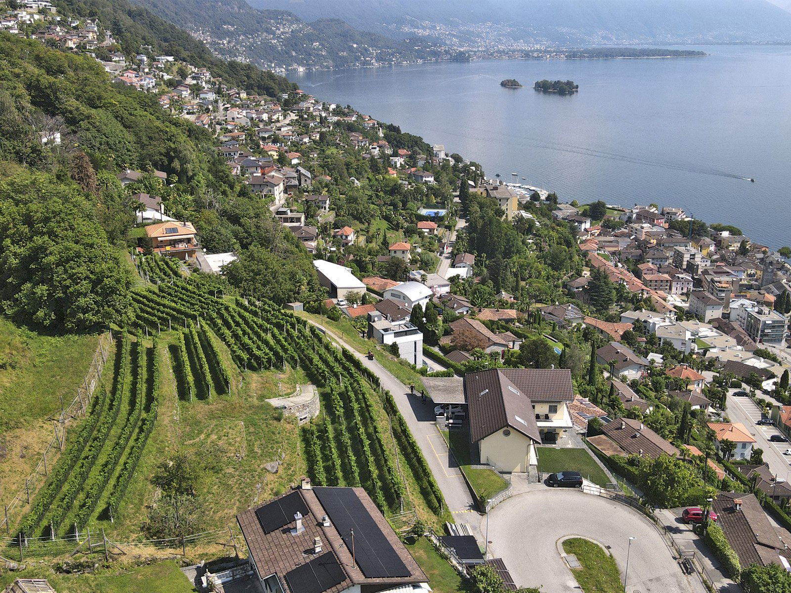 Azienda Vitivinicola Giromit Sagl, Winery in Brissago