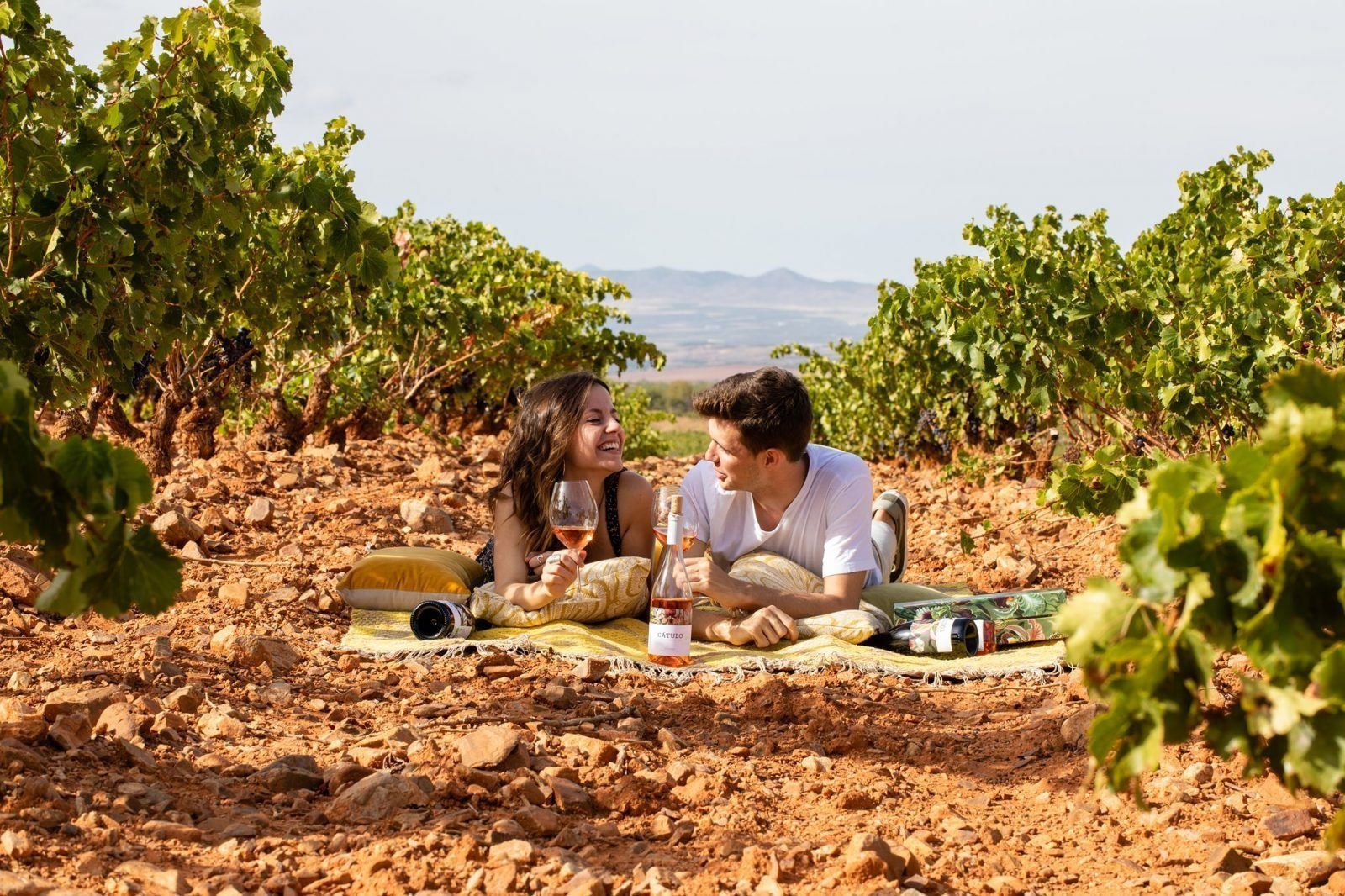 Bodegas La Casa de Lúculo, Mendigorria, Spain
