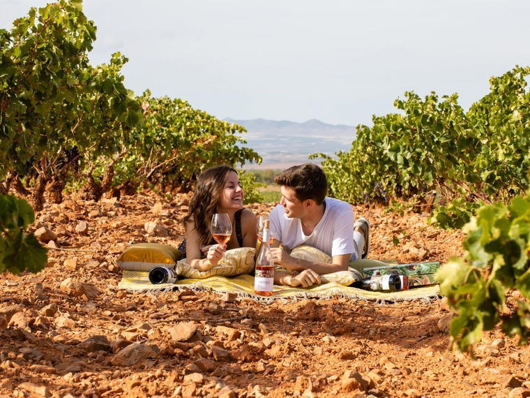 Bodegas La Casa de Lúculo, Mendigorria, Spain