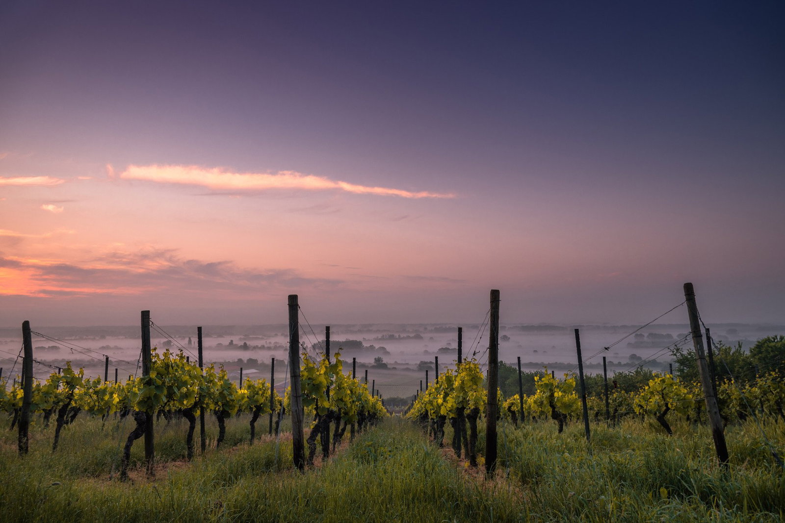 Domaine André Mathieu, Châteauneuf-du-Pape, France